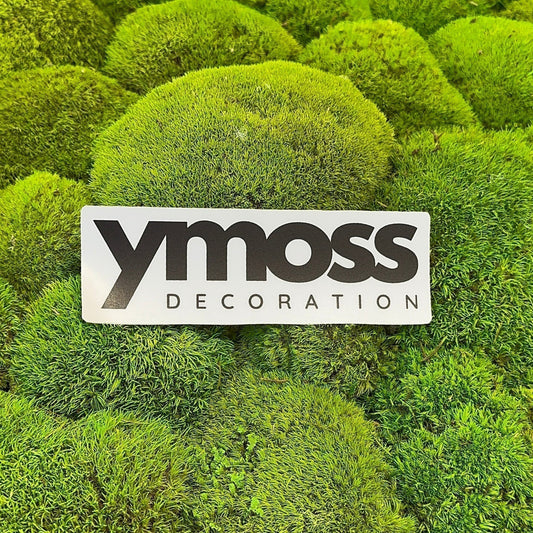 Mach ako ideálne riešenie pre moderné interiéry 🌿